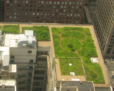 Cubiertas verdes. Del gris al verde en la ciudad | ECOesMÁS